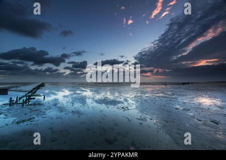 Marée basse sur les vasières au petit matin, pays-Bas, Frise, Wierum Banque D'Images