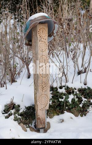 Aide à la nidification des abeilles sauvages faite maison à partir d'un tronc de chêne avec un vieux bol comme protection contre les intempéries, Allemagne Banque D'Images