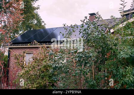 Très petit panneau solaire résidentiel sur un hangar d'une maison néerlandaise, montrant qui est le succès de la politique néerlandaise pour l'énergie verte. Banque D'Images