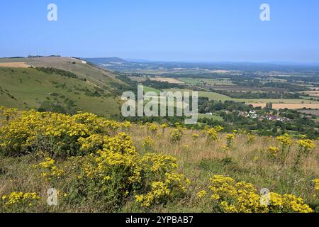 Vue depuis Devils Dyke dans le parc national de South Downs Banque D'Images