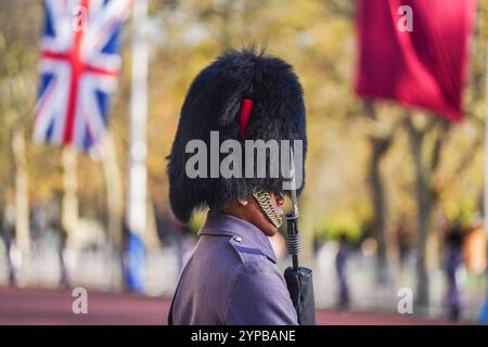 Londres, Royaume-Uni. 29 novembre 2024 des membres de la division Household participent aux répétitions précédant la visite d'État de l'émir du Qatar au Royaume-Uni. Cheikh Tamim bin Hamad Al Thani . L’émir du Qatar sera accueilli par le roi charles III et la reine Camilla au palais de Buckingham le mardi 3 décembre crédit. Amer Ghazzal/Alamy Live News Banque D'Images