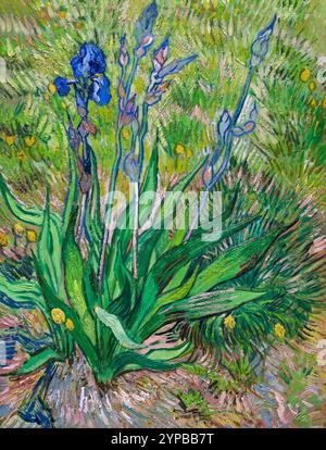 Iris, Vincent van Gogh, 1890, Musée des beaux-arts du Canada, Ottowa Banque D'Images