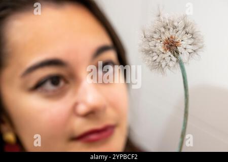 Londres, Royaume-Uni. 29 novembre 2024. Un membre du personnel de «The Dandelion Fluff», 2024, de Shota Suzuki lors d’une avant-première de «second nature», une exposition spéciale organisée pendant la London Art week présentant l’art contemporain japonais, par les artistes contemporains Shota Suzuki et Satomi Den basés à Kyoto, aux côtés de rares œuvres de Old Master dans la nouvelle galerie de Stuart Lochhead sculpture dans Old Bond Street. La galerie est ouverte au public du 30 novembre et l'exposition se déroule jusqu'au 13 décembre. Credit : Stephen Chung / Alamy Live News Banque D'Images