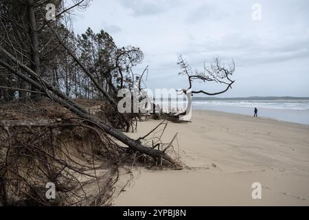 Ile d’Oléron, Saint-Trojan-les-bains, pointe de Gatseau (ouest de la France), 11 mars 2024 : tempête Nelson et érosion côtière *** Loc Banque D'Images