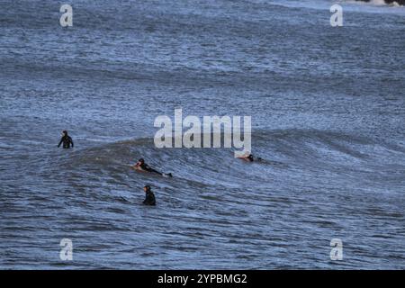 Aberystwyth Wales UK SURFING le 29 novembre 2024. Une journée ensoleillée et venteuse sur la côte ouest du pays de Galles et le club de surf local prennent la mer pour un peu de sport, chevauchant de grandes vagues par une journée d'hiver bleuissante. Crédit : mike davies/Alamy Live News Banque D'Images