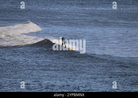 Aberystwyth Wales UK SURFING le 29 novembre 2024. Une journée ensoleillée et venteuse sur la côte ouest du pays de Galles et le club de surf local prennent la mer pour un peu de sport, chevauchant de grandes vagues par une journée d'hiver bleuissante. Crédit : mike davies/Alamy Live News Banque D'Images