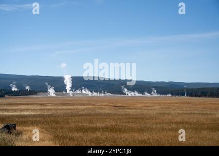 Une source de geyser active avec une décharge intermittente d'eau éjectée turbulemment et accompagnée de vapeur, parc national de Yellowstone, États-Unis Banque D'Images