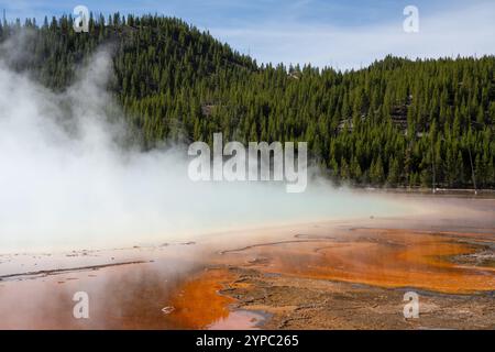 Une source de geyser active avec une décharge intermittente d'eau éjectée turbulemment et accompagnée de vapeur, parc national de Yellowstone, États-Unis Banque D'Images