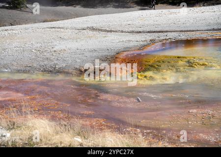 Une source de geyser active avec une décharge intermittente d'eau éjectée turbulemment et accompagnée de vapeur, parc national de Yellowstone, États-Unis Banque D'Images