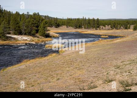 Une source de geyser active avec une décharge intermittente d'eau éjectée turbulemment et accompagnée de vapeur, parc national de Yellowstone, États-Unis Banque D'Images