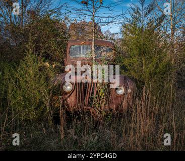 Vieux camion dans un cimetière de camions en Virginie centrale. Notez que l'arbre pousse dans le compartiment moteur. Banque D'Images