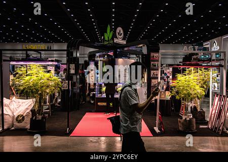 Bangkok, Bangkok, Thaïlande. 29 novembre 2024. 29 novembre 2024, Bangkok, Thaïlande, les visiteurs regardent les plantes de cannabis sous la lumière LED de culture du cannabis pendant l'exposition. L’Asia International Hemp Expo 2024, qui s’est tenue au Queen Sirikit National Convention Center, présente les dernières innovations, technologies et produits issus des industries liées au cannabis et au chanvre. (Crédit image : © Wissarut Weerasopon/ZUMA Press Wire) USAGE ÉDITORIAL SEULEMENT! Non destiné à UN USAGE commercial ! Banque D'Images