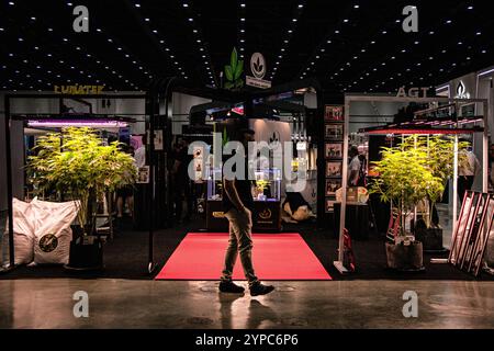 Bangkok, Bangkok, Thaïlande. 29 novembre 2024. 29 novembre 2024, Bangkok, Thaïlande, les visiteurs regardent les plantes de cannabis sous la lumière LED de culture du cannabis pendant l'exposition. L’Asia International Hemp Expo 2024, qui s’est tenue au Queen Sirikit National Convention Center, présente les dernières innovations, technologies et produits issus des industries liées au cannabis et au chanvre. (Crédit image : © Wissarut Weerasopon/ZUMA Press Wire) USAGE ÉDITORIAL SEULEMENT! Non destiné à UN USAGE commercial ! Banque D'Images