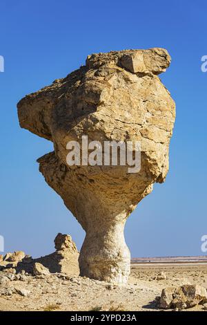 Formations rocheuses en forme de champignon dans le désert de pierre de Huqf, péninsule arabique, Sultanat d'Oman Banque D'Images