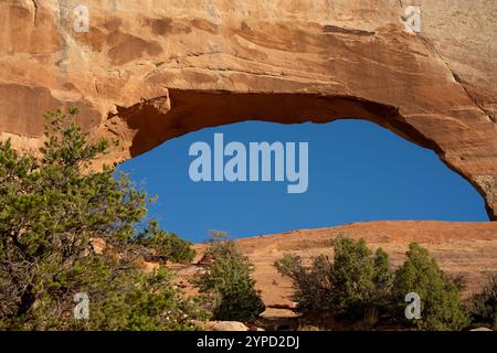 Une incroyable formation rocheuse énorme d'arc rocheux d'hématite rocheuse rouge, brune et jaune, oxyde de fer dans l'Utah USA Banque D'Images