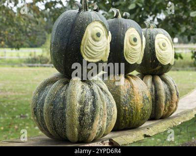 Trois citrouilles empilées avec des yeux sculptés sur une planche de bois, borken, muensterland, allemagne Banque D'Images