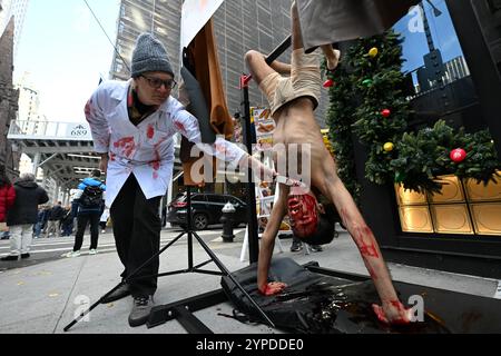 Un partisan de PETA « écorché » proteste devant le magasin Coach sur la Cinquième Avenue lors d'une exposition anti-cuir du Black Friday le 29 novembre 2024 à New York, ci Banque D'Images