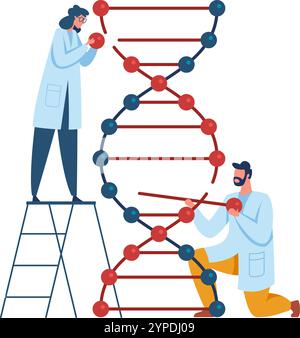 Deux scientifiques qui construisent un modèle adn mènent des recherches génétiques, explorent le domaine de la biotechnologie et font des progrès scientifiques Illustration de Vecteur
