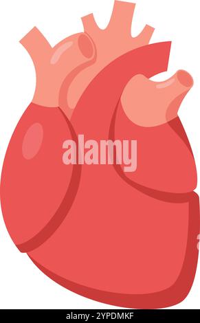 Illustration médicale mettant en valeur un cœur humain sain, soulignant son rôle dans la circulation du sang dans tout le corps et le maintien de la santé et du bien-être en général Illustration de Vecteur