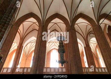 Europe, Pologne, Kolobrzeg. Co-cathédrale Basilique de l'Assomption de la Bienheureuse Vierge Marie, ou Cathédrale Kolobrzeg. Église du 14e C. Voûte intérieure Banque D'Images