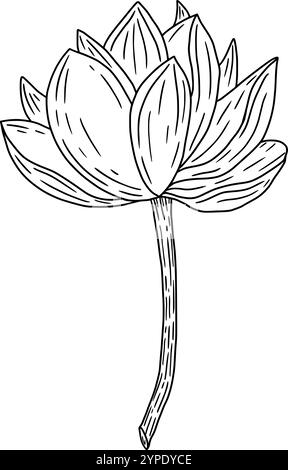 Une illustration magnifiquement détaillée et minutieusement dessinée à la main représentant une fleur de lotus magnifique sur sa tige. Graphismes vectoriels en noir et blanc dessinés à la main en dessin au trait pour les matériaux imprimés, les intérieurs et plus encore. Illustration de Vecteur