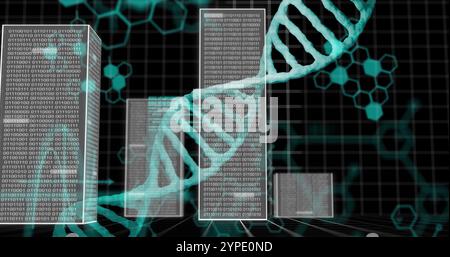 Brins d'ADN et codage binaire, image de traitement de données scientifiques Banque D'Images