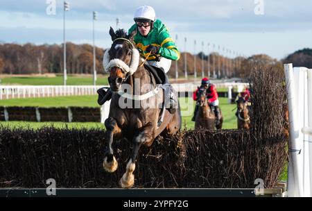 Newcastle, Royaume-Uni, samedi 30 novembre 2024 ; Ilikedwayurthinkin et le jockey Richie McLernon remportent le BetMGM handicap Chase pour l’entraîneur Ben Haslam et le propriétaire Mr J. P. McManus. Crédit JTW Equine images / Alamy. Banque D'Images