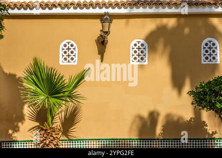 Un mur à Taroudant avec des éléments décoratifs marocains typiques, y compris des fenêtres cintrées Banque D'Images