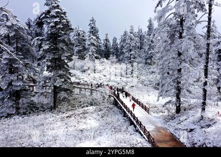 Pékin, Chine. 28 novembre 2024. Cette photo prise le 28 novembre 2024 montre le paysage de la montagne Wawu dans le comté de Hongya, dans la province du Sichuan au sud-ouest de la Chine. Crédit : Zhang Zhongping/Xinhua/Alamy Live News Banque D'Images