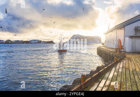 Lumière étonnante dans le port de pêche traditionnel avec mouettes sur les îles de Rost, Lofoten, Norvège Banque D'Images