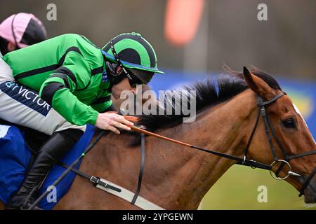 Newbury, Royaume-Uni. 30 novembre 2024. Navajo Indy monté par Gavin Sheehan (casquette verte et noire) remporte le Coral Racing Club Intermediate handicap Hurdle Race 2,25 à Newbury Racecourse, Newbury photo de Paul Blake/Alamy Sports News Banque D'Images