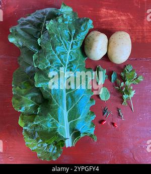 Blettes, fines herbes, piments rouges et pommes de terre prêtes à cuire à Querétaro, Mexique. Banque D'Images