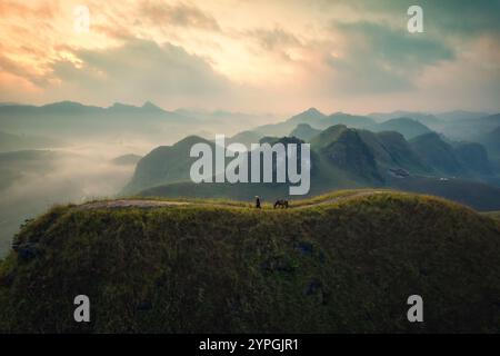 Vue aérienne de la belle colline d'herbe de Ba Guang, chaîne de montagnes avec brouillard et villageois apportant cheval à paître sur la montagne dans la matinée à Ha Lang, Banque D'Images