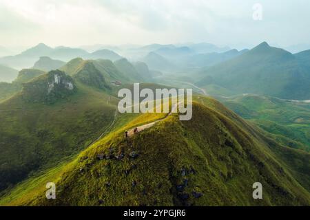 Vue aérienne de la belle colline d'herbe de Ba Guang, chaîne de montagnes avec brouillard et villageois apportant cheval à paître sur la montagne dans la matinée à Ha Lang, Banque D'Images