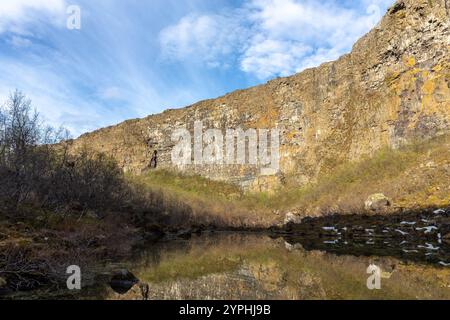 Canyon Asbyrgi en Islande, lac glaciaire Botnstjorn avec des formations rocheuses volcaniques verticales falaises au-dessus reflétant dans la surface de l'eau calme, arbres secs a Banque D'Images