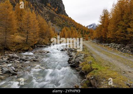 Susasca sauvage, torrent au-dessous du col de Flueela, Val Susaca, S-chanf, Engadin, Graubuenden, Suisse, Europe Banque D'Images