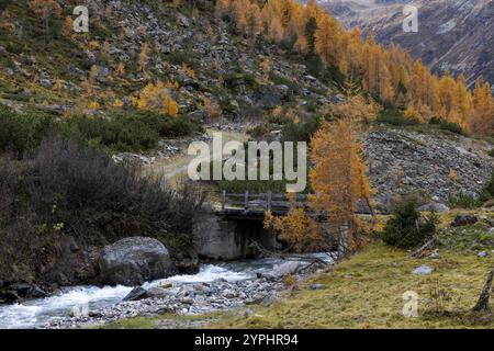 Pont sur la Susasca sauvage, torrent en dessous du col de Flueela, Val Susaca, S-chanf, Engadin, Graubuenden, Suisse, Europe Banque D'Images