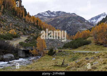 Susasca sauvage, torrent au-dessous du col de Flueela, Val Susaca, S-chanf, Engadin, Graubuenden, Suisse, Europe Banque D'Images