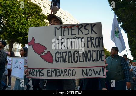 Tunis, Tunisie. 30 novembre 2024. Tunis, Tunisie. 30 novembre 2024. Des affiches appelant à un embargo sur les armes contre Israël sont dressées lors d'une marche pro-palestinienne et pro-libanaise à Tunis. L’événement s’est tenu dans la capitale tunisienne pour protester contre la guerre israélienne contre Gaza et les attaques israéliennes en cours au Liban malgré un cessez-le-feu récent (crédit image : © Hasan mrad/IMAGESLIVE via ZUMA Press Wire) USAGE ÉDITORIAL SEULEMENT ! Non destiné à UN USAGE commercial ! Crédit : ZUMA Press, Inc/Alamy Live News Banque D'Images