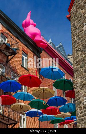 Allée des parapluies, vieille ville historique, Québec, Canada Banque D'Images