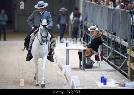 Madrid, Espagne. 30 novembre 2024. Un cavalier participe à la Madrid Horse week 2024 à l'IFEMA à Madrid, Espagne, le 30 novembre 2024. Crédit : Gustavo Valiente/Xinhua/Alamy Live News Banque D'Images