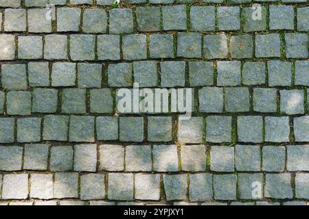 Chemin dans le parc aménagé en pierre naturelle cubique. Image texturée intéressante Banque D'Images