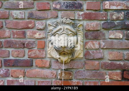 Fontaine à boire faite d'une figure de tête de lion dans un mur de briques. Banque D'Images