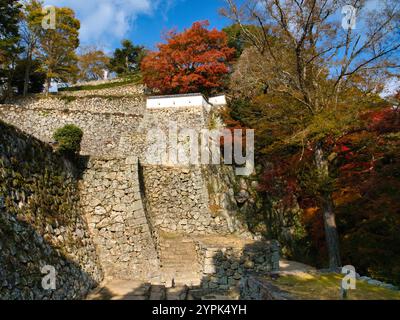 Feuillage d'automne au château de Bitchu Matsuyama dans la préfecture d'Okayama, Japon Banque D'Images