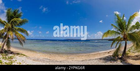 Vue panoramique sur la côte avec des palmiers à LoaLoa Bay, Saipan, Îles Mariannes du Nord. Banque D'Images