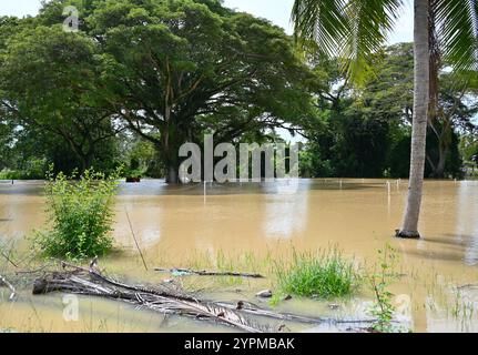 Niveau élevé de la rivière Kedah à Alor Setar Malaisie. Banque D'Images