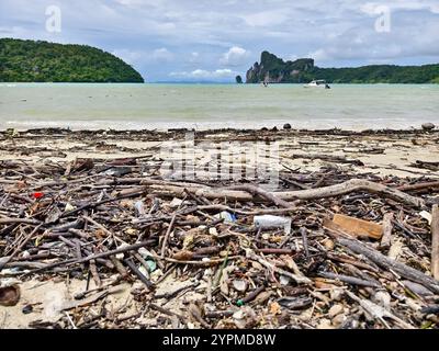 Une plage lourdement jonchée de bois et de plastique Banque D'Images
