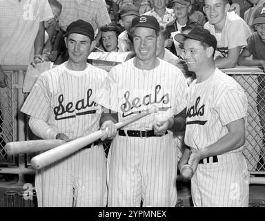 Les DiMaggio Brothers (G à d) Joe, Vince et Dom DiMaggio jouant tous ensemble pour les Seals de San Francisco de la Pacific Coast League, le 27 août 1956 Banque D'Images