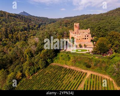 Drone angle élevé point de vue sur le château de Kintzheim à Kintzheim, Alsace, est de la France. Le château date du XIIe siècle. Banque D'Images