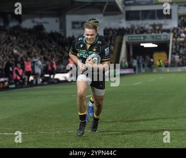 Northampton, Royaume-Uni. 29 novembre 2024. Tom Litchfied de Northampton s'essaye lors du Gallagher Premiership Rugby match opposant Northampton Saints contre Gloucester Rugby au Cinch Stadium le 29 novembre 2024 à Londres, en Angleterre. Crédit : Gary Mitchell, GMP Media/Alamy Live News Banque D'Images